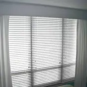 blinds1.jpg