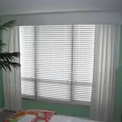 blinds2.jpg