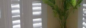 Plantation Shutters or Curtains
