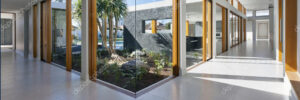 A room with plants and a glass wall