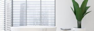 Enhancing Indoor Shutters: A South Florida Elegance Guide
